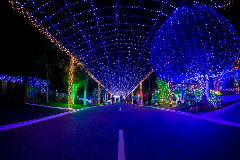 Rua Iluminada Família Moletta