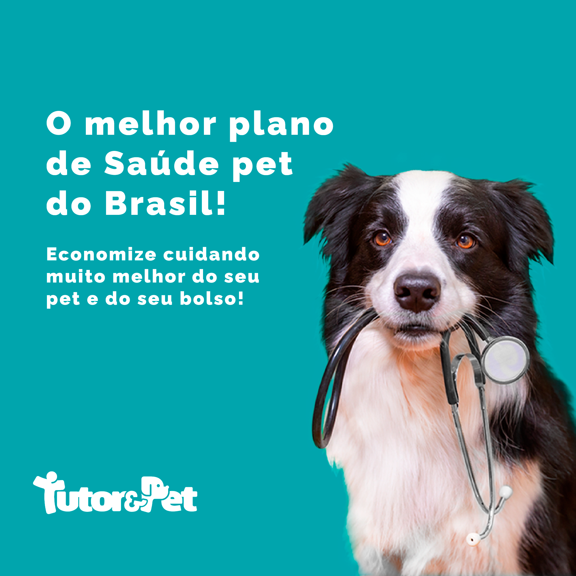 TUTOR & PET