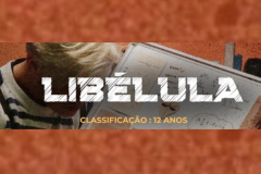 Mostra Alldeias - 10 anos Libélula