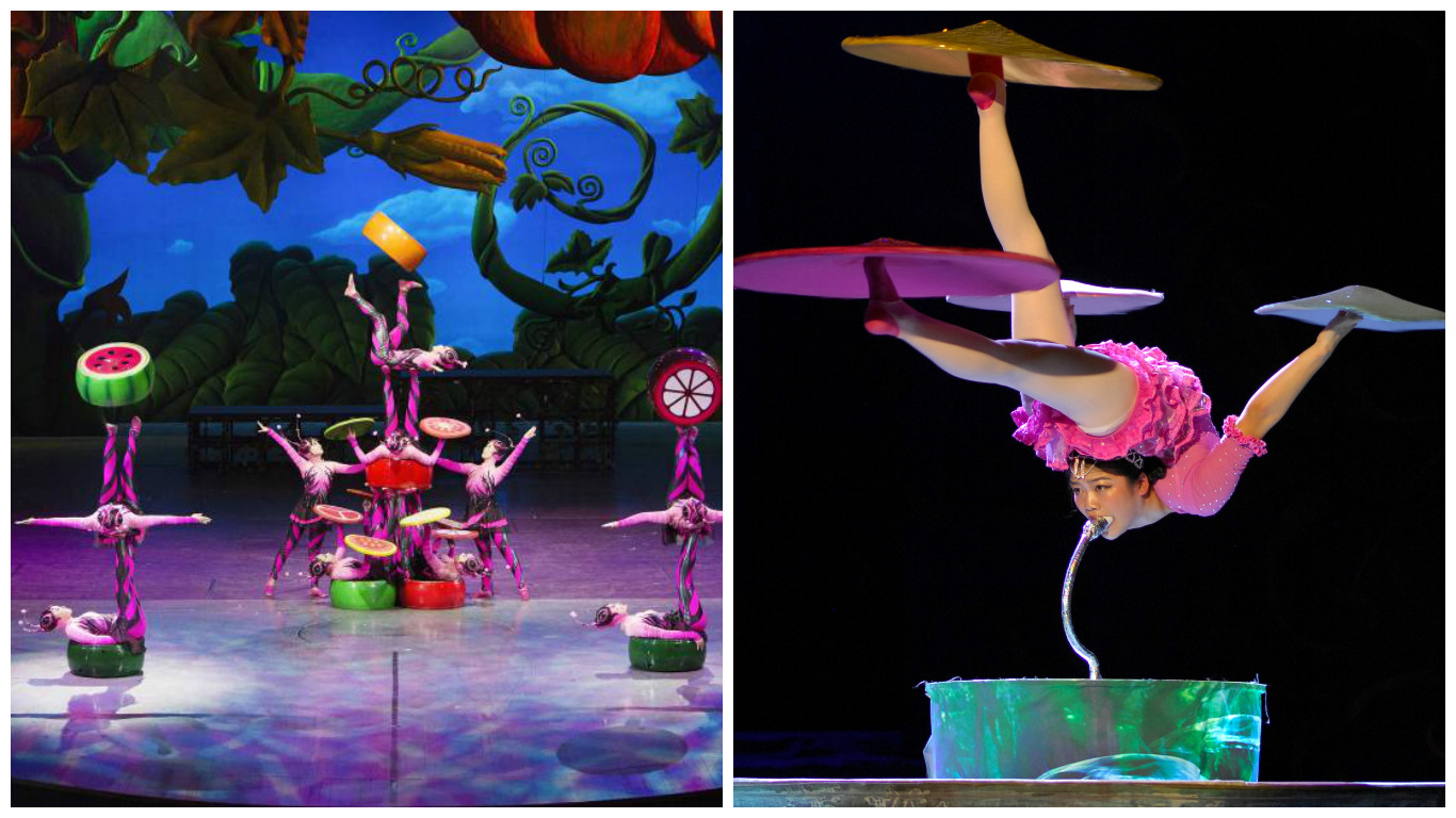 Turnê de dois circos chineses em Curitiba começa nesta quinta-feira (17). Escolha o seu!