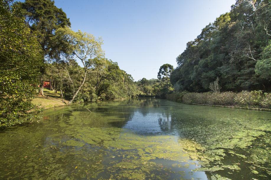 Parque da Barreirinha: oásis esquecido e pouco aproveitado no meio de Curitiba
