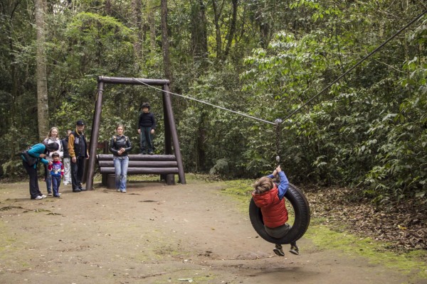 Bosque com trilha de aventura para crianças é reaberto em Curitiba