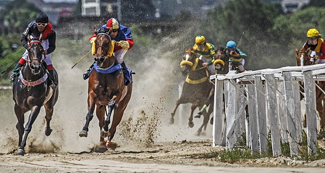 Turfe: quinta-feira (17)  é dia de corridas no hipódromo do Tarumã