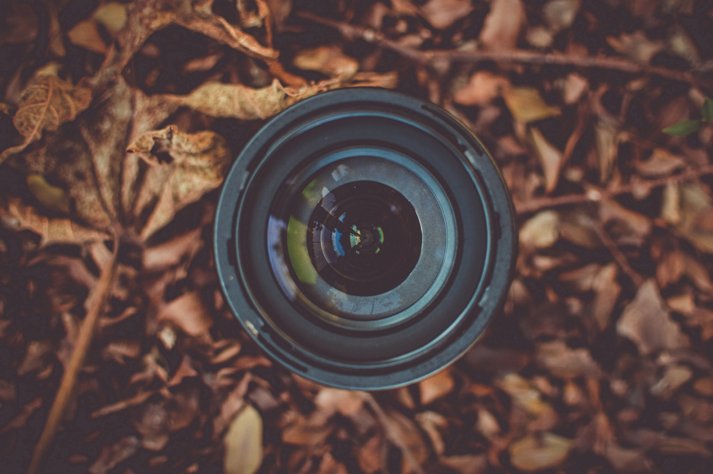 3 formas de aproveitar o Dia Mundial da Fotografia em Curitiba