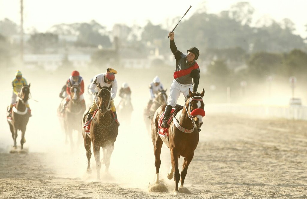 Grande Prêmio Paraná: aposte na corrida de cavalos neste domingo (24)