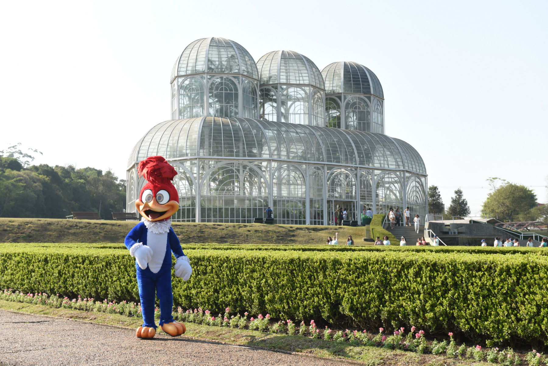 Pica-pau em Curitiba: personagem fez um tour pela cidade para promover filme