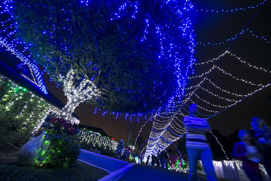 Família vai decorar rua do Umbará com mais de 300 mil luzes natalinas