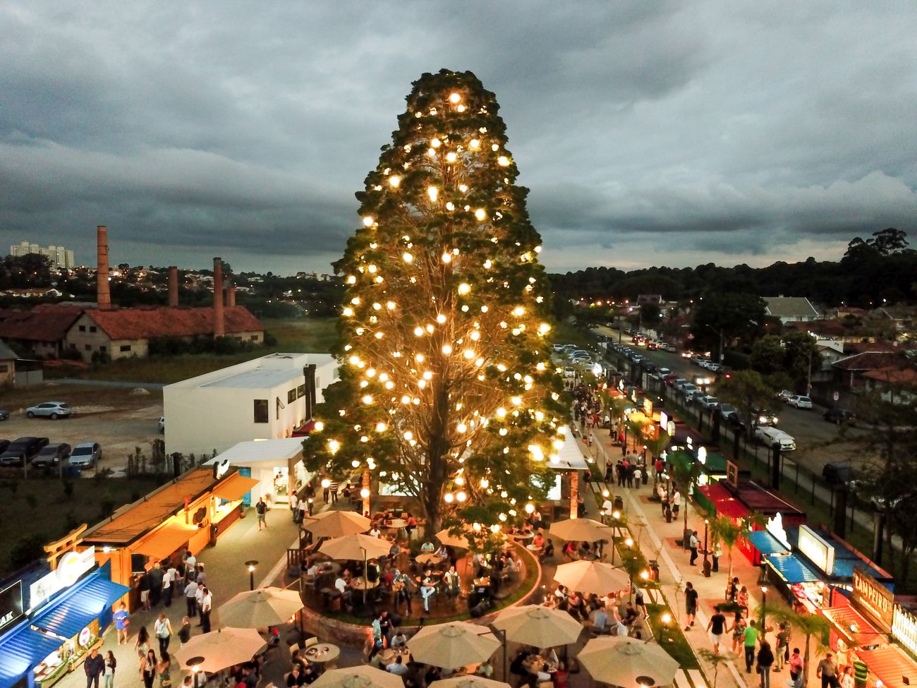 Maior árvore de Natal de Curitiba tem altura equivalente a prédio de 10 andares