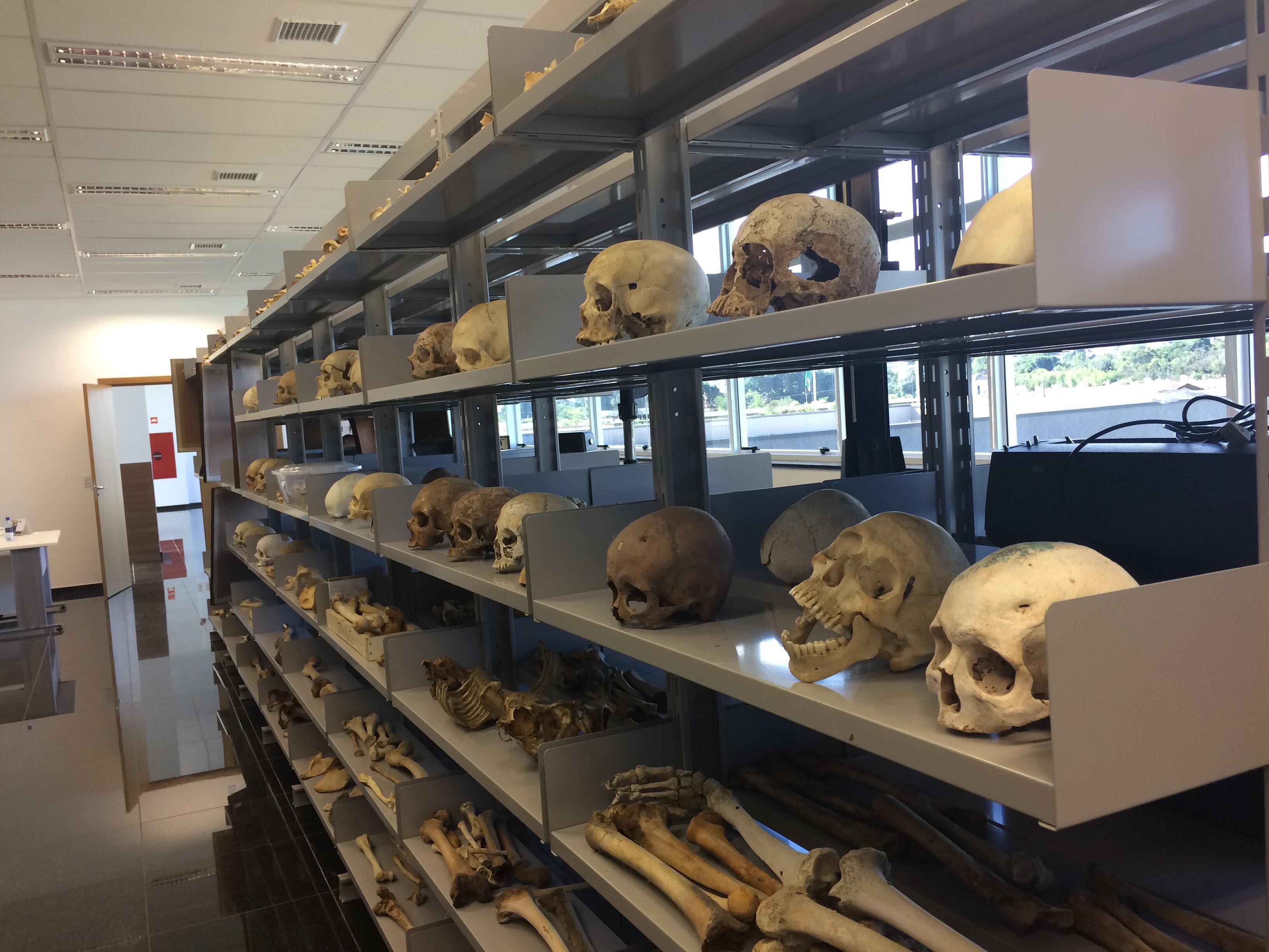 Museu do IML esconde histórias do crime no Paraná