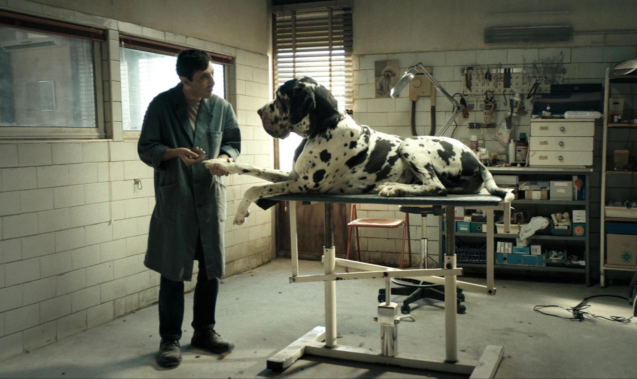 Dogman, destaque do festival de cinema italiano, será exibido hoje