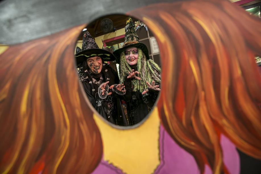 Bosque Alemão tem contação de histórias gratuita todo fim de semana