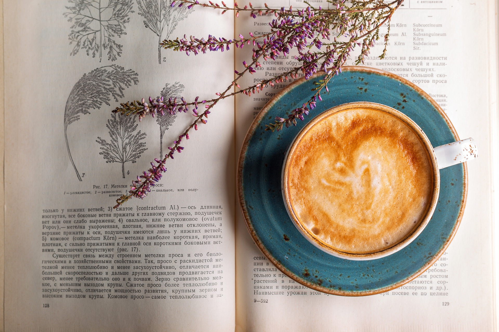 6 livrarias que misturam café, diversão e arte