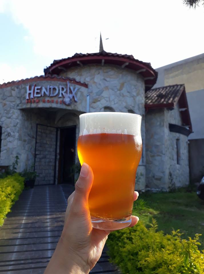 Hendrix comemora 2 anos com festa em castelo