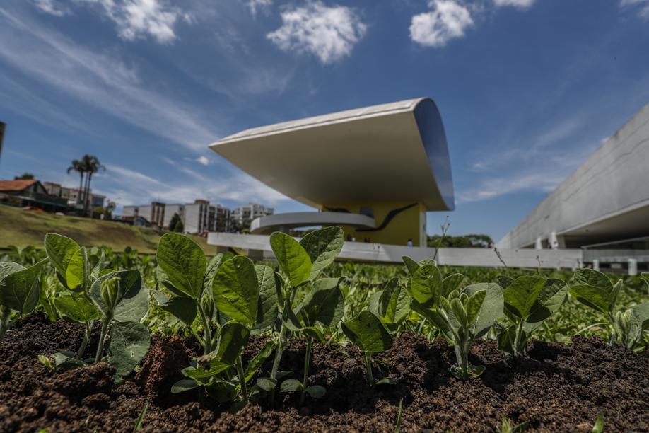 Em obras da Bienal você pode fazer uma pipa ou tirar foto em campo de soja