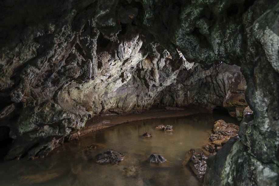 Terceira maior caverna do Paraná está a 30 km de Curitiba