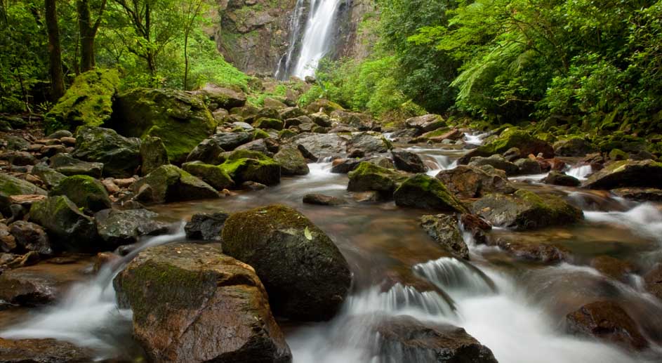 Como visitar a reserva no Litoral do Paraná que é a queridinha dos turistas