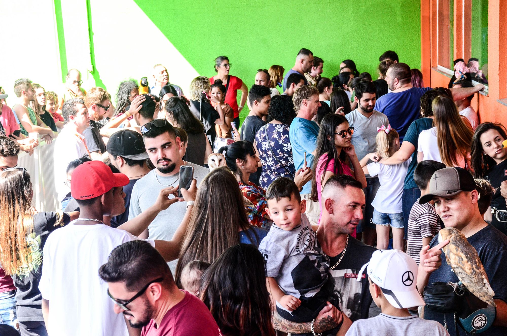 Pet Shop no Parolin vira ponto de encontro todo fim de semana com atividades gratuitas