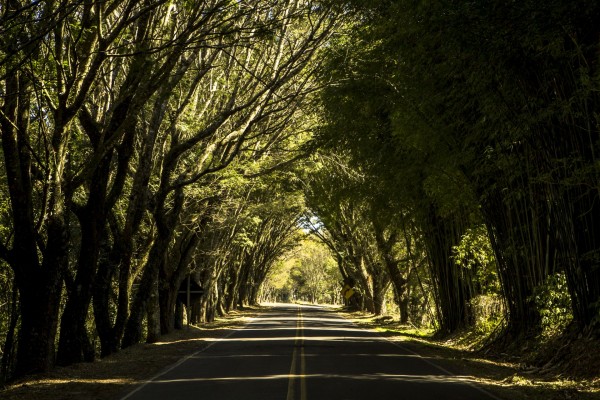 10 lugares perto de Curitiba que valem uma sessão de fotos