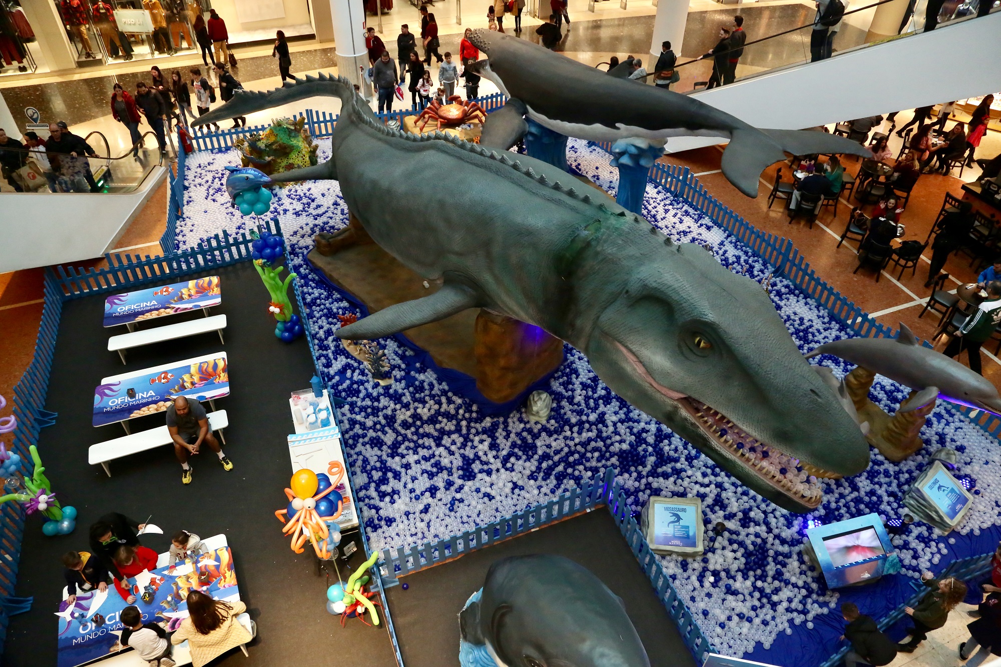 Exposição em shopping mostra as curiosidades do mundo marinho