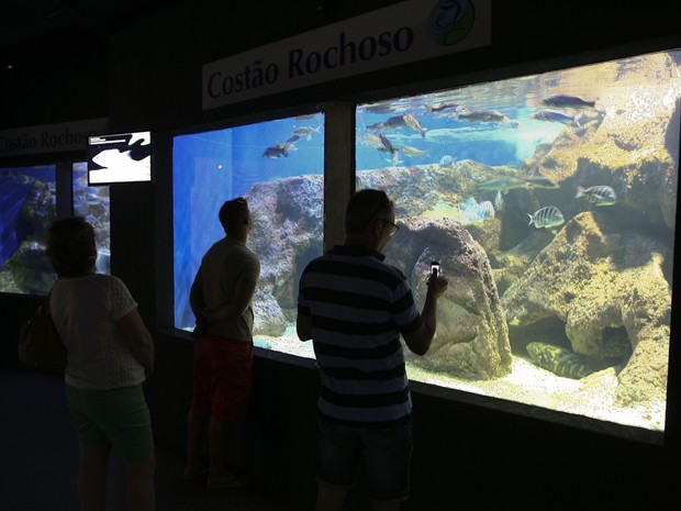 5 experiências radicais ou diferentonas você pode viver com o Clube