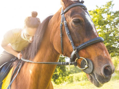 Centro equestre pertinho de Curitiba é o paraíso antiestresse