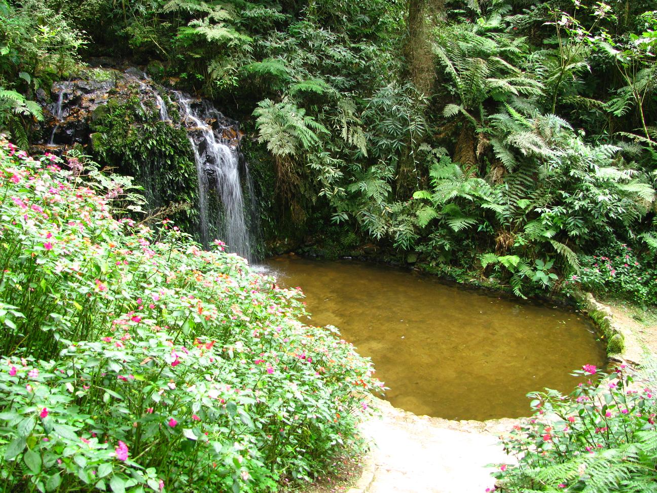 Quer casar? Conheça a cachoeira casamenteira na região metropolitana