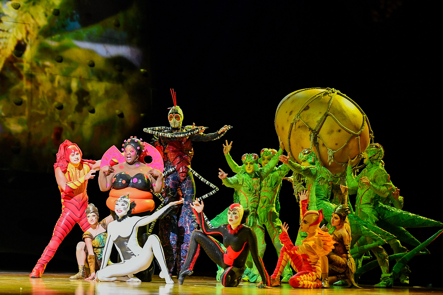 Cirque du Soleil exibe especial durante a quarentena