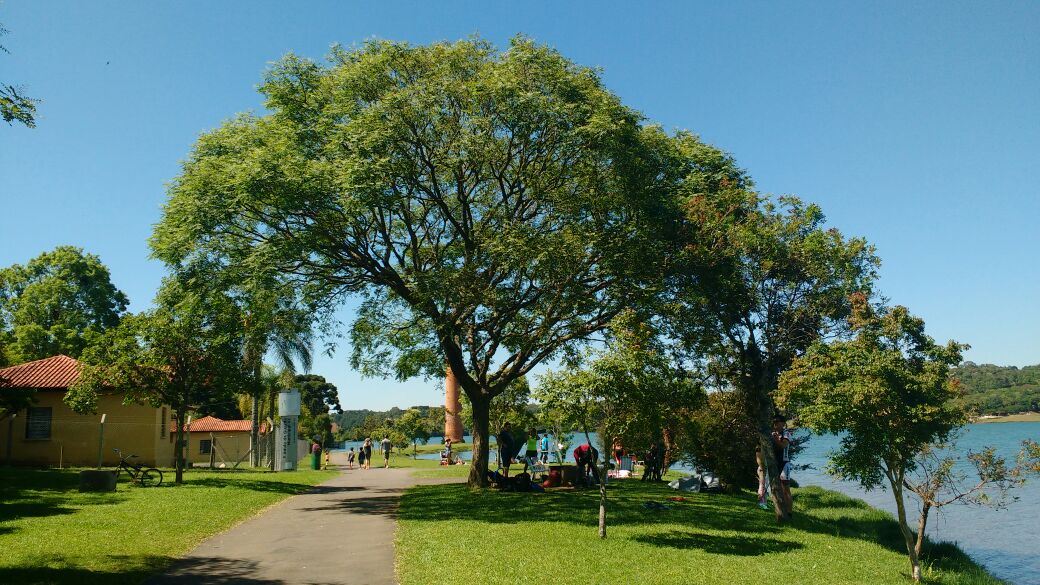 14 lugares para fazer piquenique em Curitiba