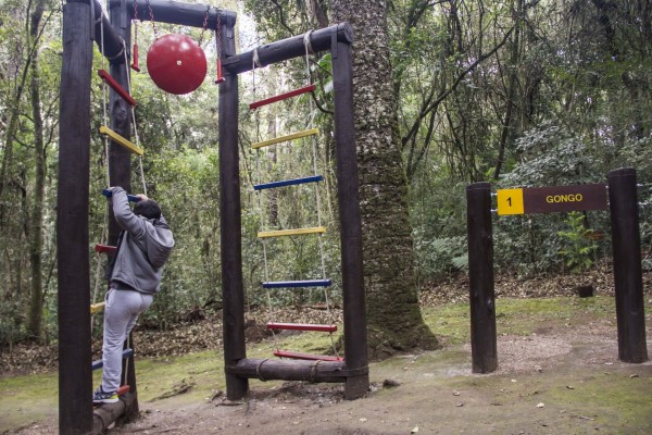 5 programas gratuitos para fazer com as crianças em Curitiba