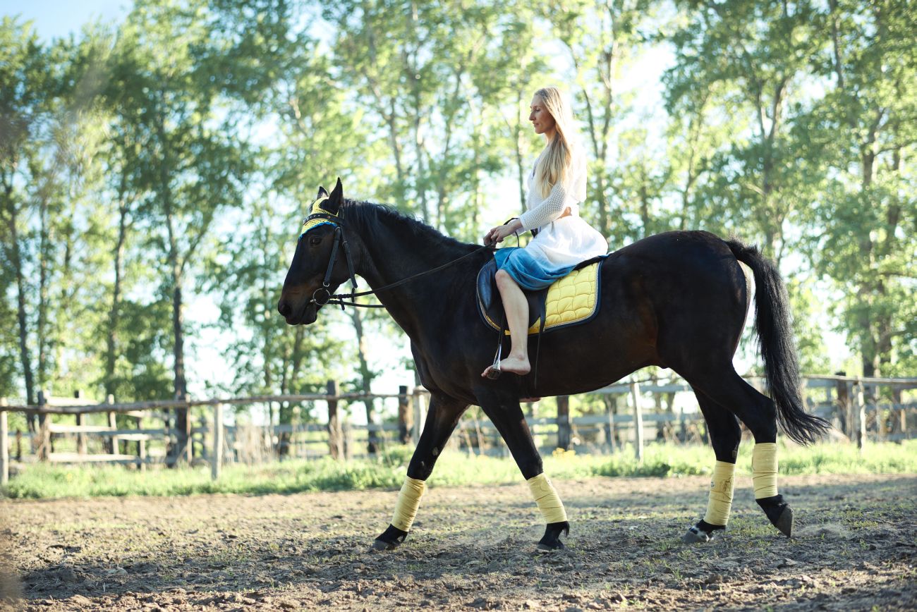 6 lugares para andar a cavalo em Curitiba e região