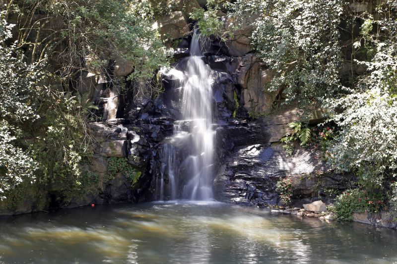 5  parques de Curitiba fora do roteiro tradicional