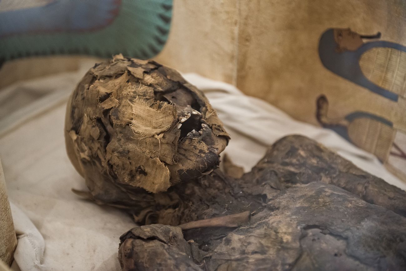 Museu egípcio em Curitiba tem múmia de quase 3 mil anos