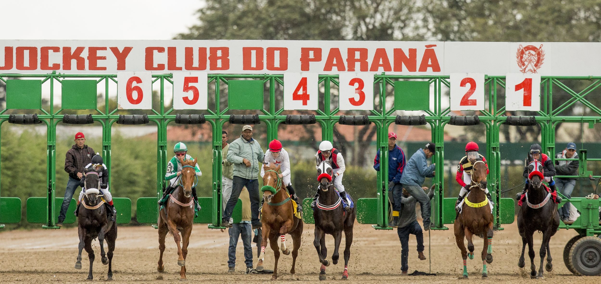 Grande Prêmio Paraná terá cavalos campeões na pista e pôneis para as crianças neste sábado