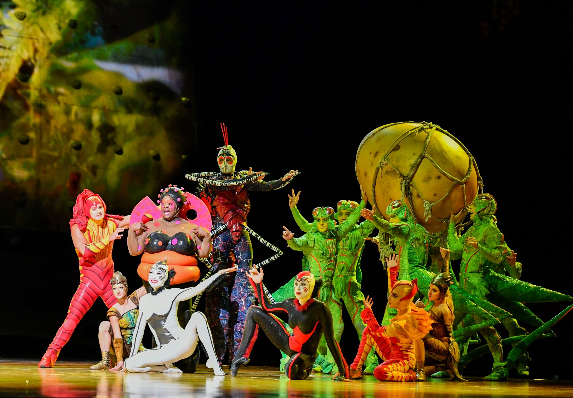 Cirque du Soleil vem ao Brasil em 2019