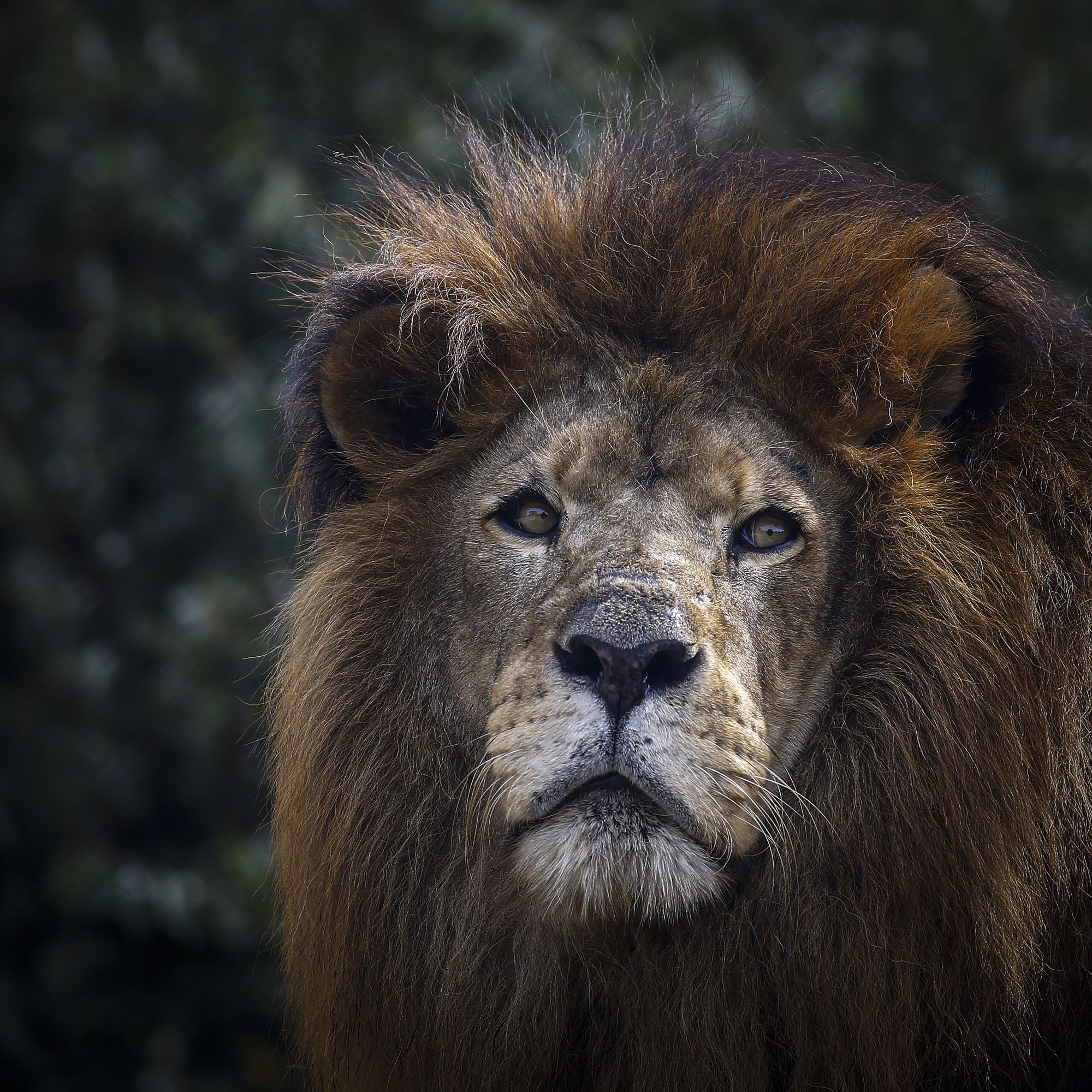 Zoológico de Curitiba ganha mais uma hora de funcionamento durante o verão