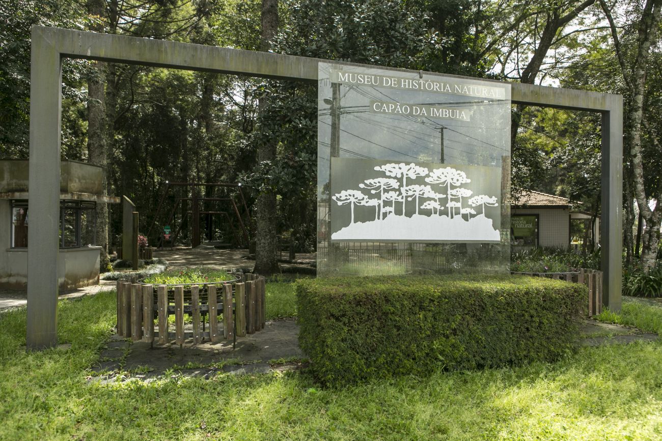 Museu de História Natural em Curitiba pode ser um passeio divertido e cheio de aprendizado