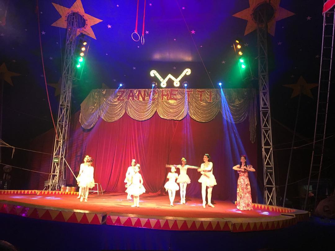 Tradicional circo faz espetáculo encantador e divertido em picadeiro montado no Parque Barigui