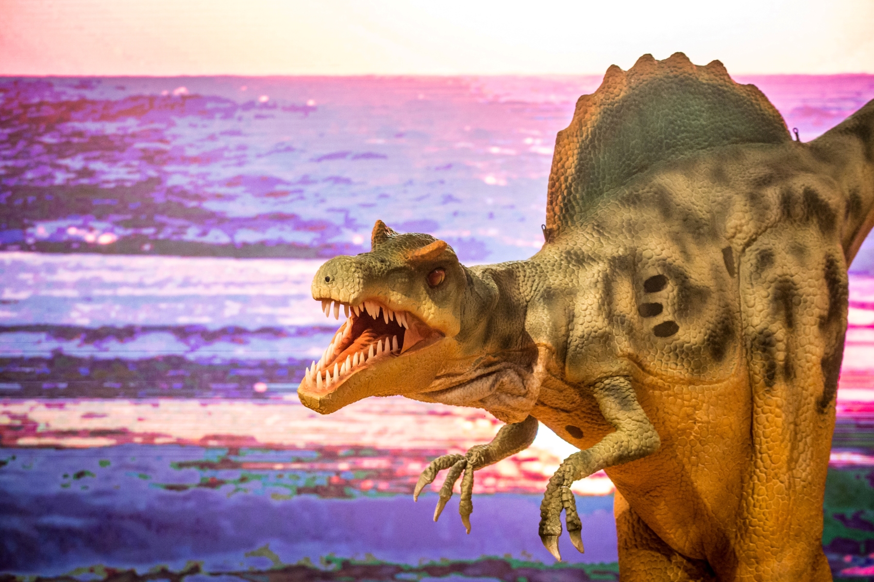 Feriadão tem espetáculo com dinossauros, feira de gatos e muito mais