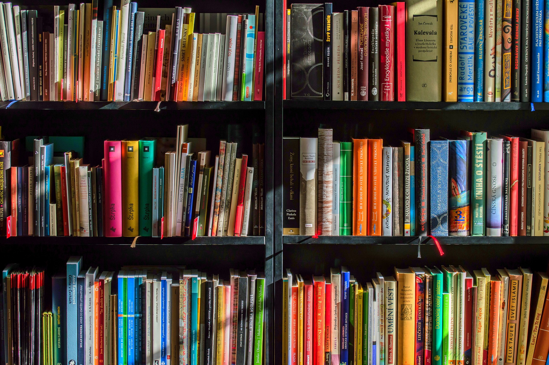 Clubes de leitura para participar em Curitiba