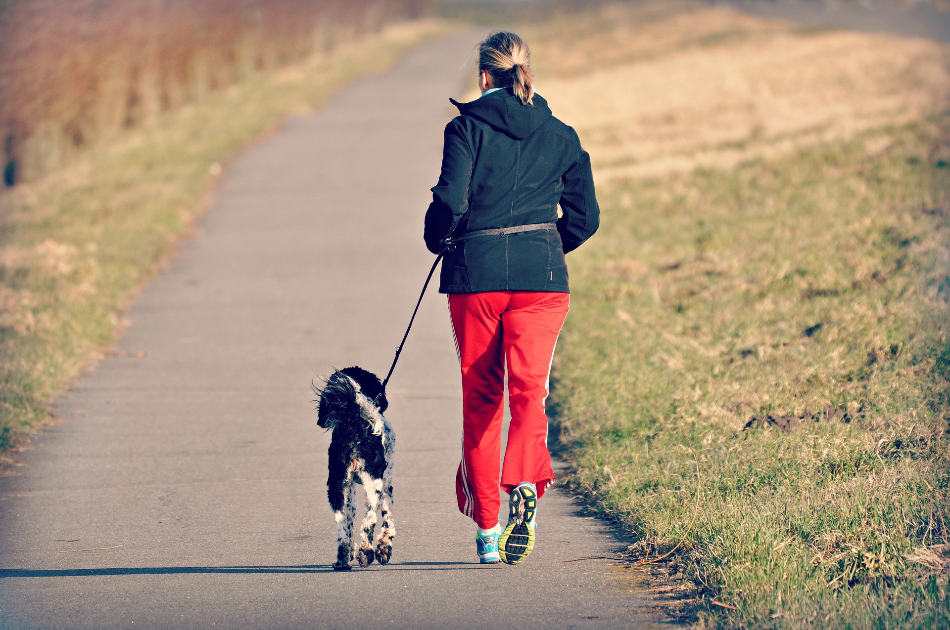 Meia Maratona de Curitiba terá corrida pet em agosto