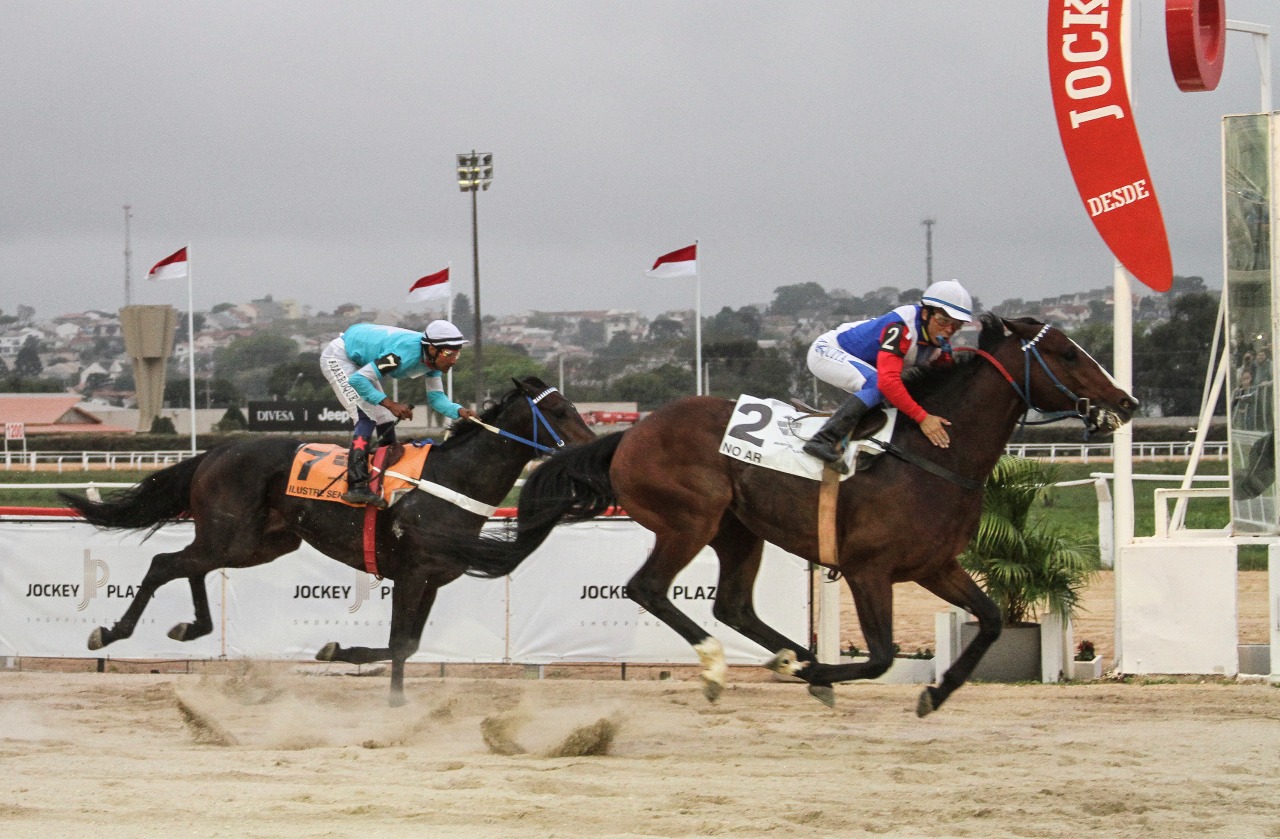 Cavalo paranaense vence Grande Prêmio Paraná de Turfe