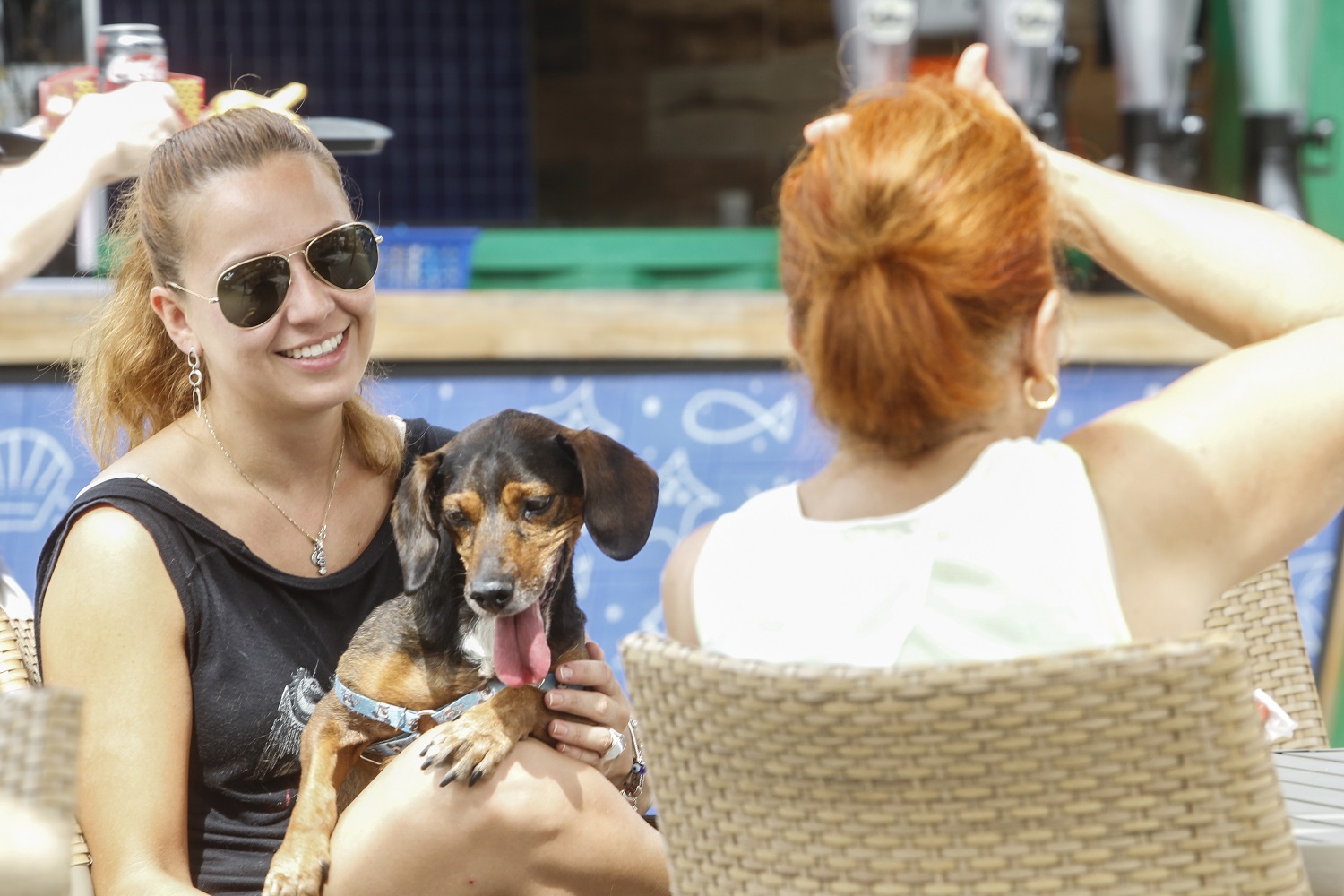 Lugares pet friendly com desconto do Clube