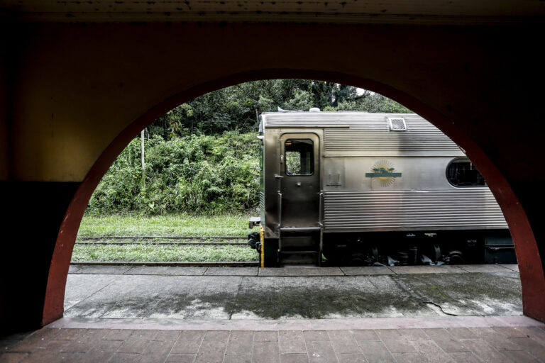 Férias: conheça os diferentes passeios de trem que você pode fazer com a Serra Verde Express