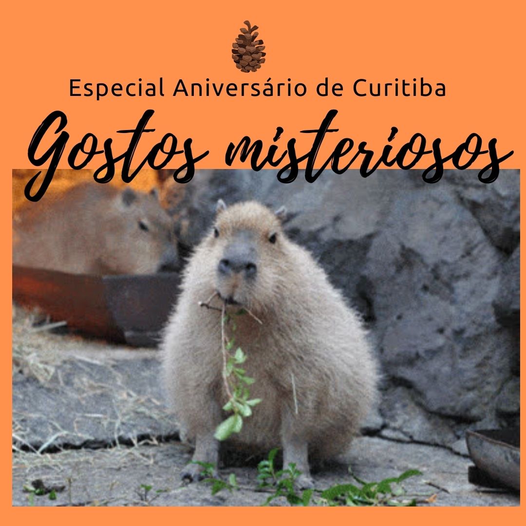 capivara-roendo