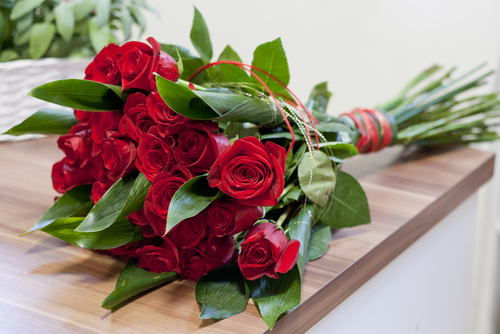 flores para algernon