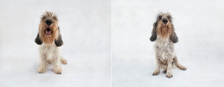 antes e depois