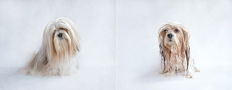 antes e depois