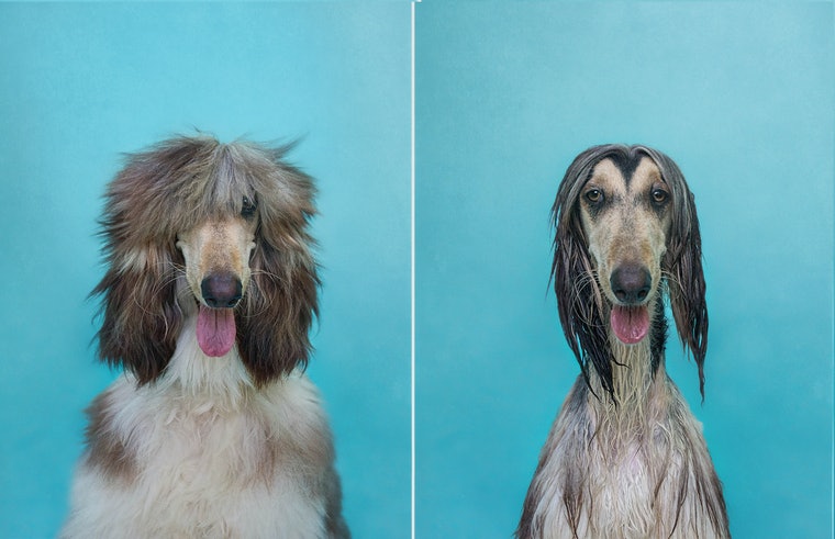antes e depois kardashian