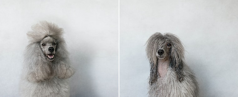 antes e depois