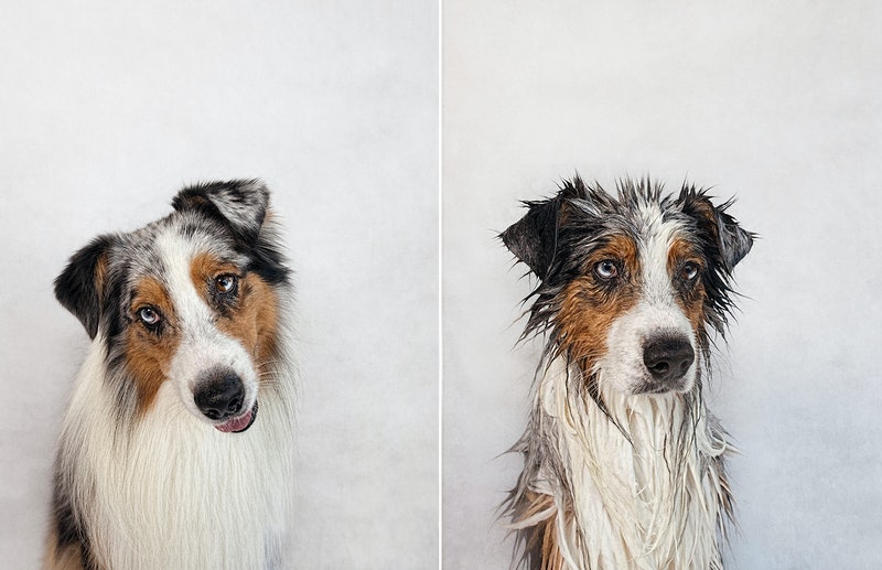 antes e depois